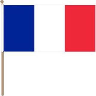 👉 Zwaaivlag stof active Frankrijk 30x45cm | 7430439393368