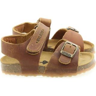 👉 Bruin male Develab 48195