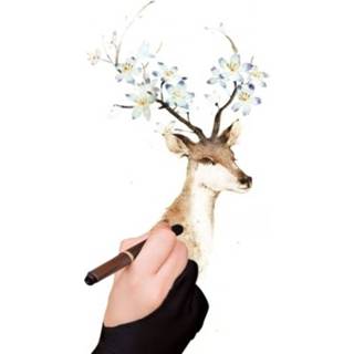 👉 Glove 1PCS Free Size 2-Finger Graphic Tablet Drawing Anti-Touch Gloves Professional 2 Fingers Artist For Both Right And Left Hand