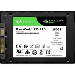 👉 Seagate ZA250CM1A003 SSD harde schijf (2.5 inch) 250 GB BarraCuda Retail SATA III 4064161073040