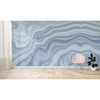 👉 Vliesbehang blauw - BlueMarble_Mural and Circle 300x250cm House of Fetch
