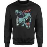 👉 Jurassic Park T-REXES Sweatshirt - Zwart - 5XL