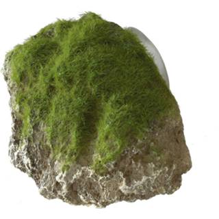 👉 Zuignap large small Aqua Della Decor Moss Stone Met - Aquarium Ornament 12x9.5x10.5 cm 4047059430156 4047059430170