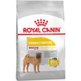 👉 Hondenvoer medium Royal Canin Dermacomfort - 3 kg 3182550773829 3182550773836
