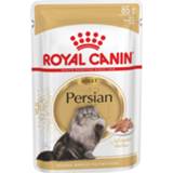 👉 Katten voer Royal Canin Persian Adult Natvoer - Kattenvoer 12x85 g 9003579001165