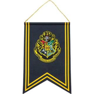 👉 Banner Harry Potter Wall Hogwarts 30 x 44 cm 4895205603943