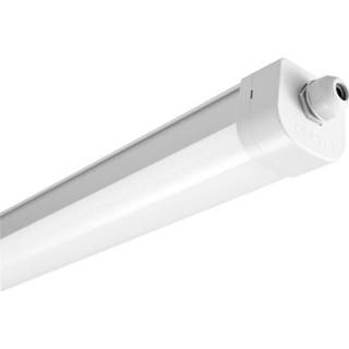 👉 Ledlamp wit grijs Opple E2 LED-lamp voor vochtige ruimte LED vast ingebouwd 50 W Daglicht-wit (RAL 7035) 6941408818504