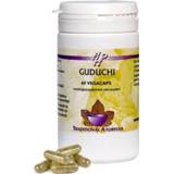 Holisan Guduchi (60ca) 8714226181109