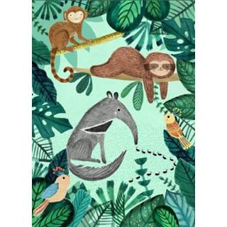 Ansichtkaart Petit Monkey Anteater and sloth 8719244221998