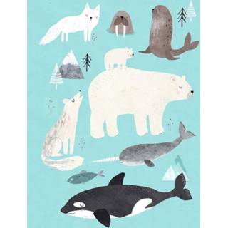 Ansichtkaart Petit Monkey Artic animals 8719244221950