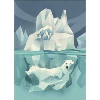 👉 Poster Dieter Braun Polar bear 50 x 70 cm