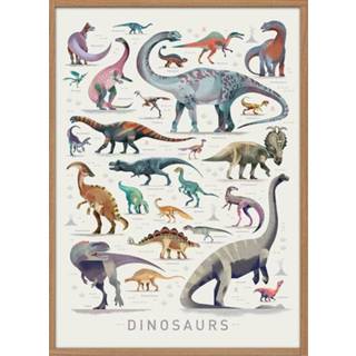 👉 Poster Dieter Braun Dinosaurus 50 x 70 cm