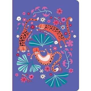 👉 Schrift DJECO Asa A5 3070900035652