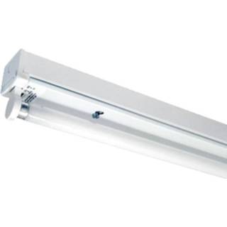 Armatuur Daglicht Wit a+ CE kunststof 10x TL 150 cm enkelvoudig incl. 10 stuks 24W 6000K LED buizen 7439628362383