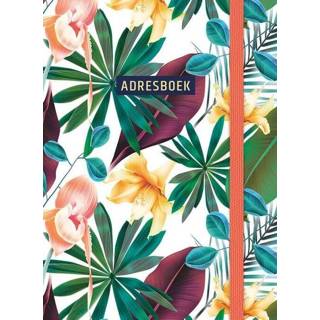 👉 Adresboek klein nederlands (klein) - Tropical 9789044757996