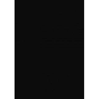 👉 Nederlands Passion Planner 9789464059007