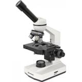 👉 Microscoop wit Bresser Erudit Basic Mono 40X-400X (23) 4007922030760