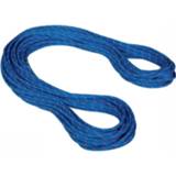 👉 Blauw Mammut 9.5 Crag Dry Rope 50 M 7613357667494