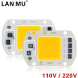 Spotlight 110V 220V LED Chip 10W 20W 30W 50W COB No Need Driver Lamp Beads for Flood Light Lampada DIY Lighting