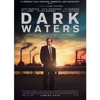 👉 Anne Hathaway engels Dark Waters 8713045250539