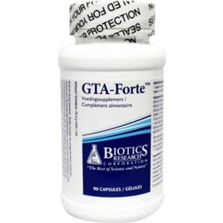 GTA forte GTA forte