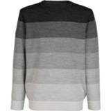 Trui grijs kunstvezels gestreept modern te combineren van gemêleerd materiaal Roger Kent 4055715036673
