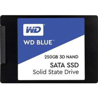 👉 WD WDS250G2B0A SSD harde schijf (2.5 inch) 250 GB Blue™ Bulk SATA 6 Gb/s 4053199509065