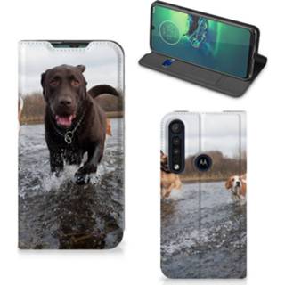 👉 Motorola G8 Plus Hoesje maken Honden Labrador 8720215689754