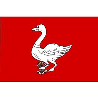 👉 Vlag active Landsmeer 150x225cm 7435127642674