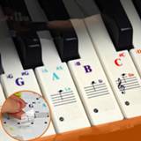 Piano transparent wit 49/54/61/88 color Keyboard Stickers Electronic Key Stave Note Sticker Symbol for White Keys