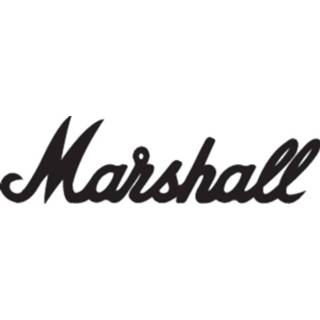 👉 Gitaarversterker grijs Marshall MS-2C Elektrische 5030463063187