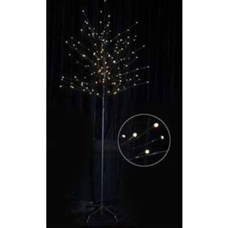 👉 Kerstverlichting male Central Park boom 5400107713295