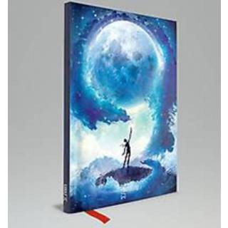 👉 Notitieboek Stormwachter. 15 jaar Baeckens, onb.uitv. 9789492616814