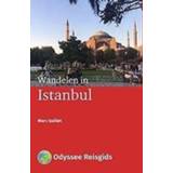 👉 Wandelen in Istanbul. Marc Guillet, Paperback 9789461230744