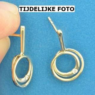 👉 Oorhanger diamant geelgoud One Size goudkleurig TFT Oorhangers Rond 0.040ct (2x 0.02ct) H SI Glanzend 8718834676941