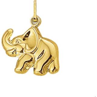👉 Bedel goud geelgoud active unisex olifant goudkleurig TFT 8718834182541