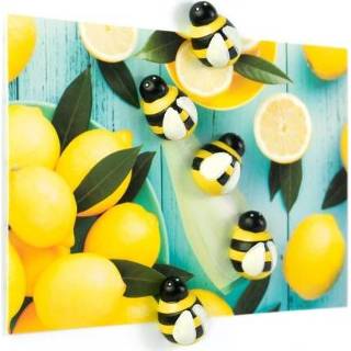👉 Geel Trendform magneten Honey Bee set van 5 7640169368950