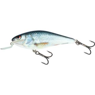 👉 Roach Salmo Executor Shallow Runner - Plug Real Dace 7cm 5902335372010
