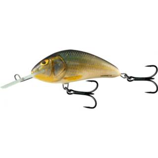 👉 Roach Salmo Hornet Floating - Plug Real 9cm 5902335371891