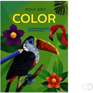 👉 Kleurboek active Deltas Poly Art Color 9789044757217