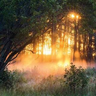 👉 Karton Dubbele Kaart 