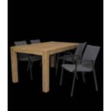 👉 Tafel teak Alberto 160 met tuinstoel Fubar