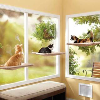 👉 Oster Sunny Seat raam loungebed voor katten