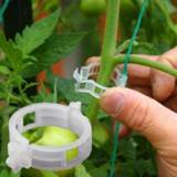 Plastic plant 50PCS/Set Reusable Support Clips Plants Hanging Vine Garden Greenhouse Vegetables Tomatoes Clip