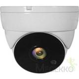 LevelOne ACS-5302 CCTV-bewakingscamera Binnen & buiten Dome Plafond 4015867222102