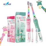 👉 Zaklamp kinderen Seago Electric Toothbrush for Kids Cute Colorful LED Flashlight 16000 Strokes 1 Brush Handle+2 Replacement Heads Children Age3+