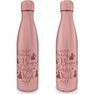 👉 Drink fles metalen Disney Princess Thirsty Work - 5050574255530