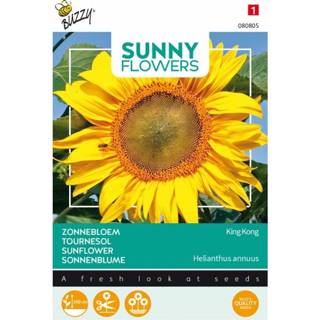 👉 Maart juli volle zon Sunny Flowers - King Kong