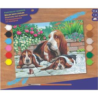 👉 Schilderen op Nummer Basset Honden 5013634000440
