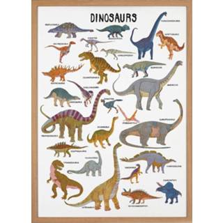 👉 Poster Barbara Dziadosz Dinosaurus 50 x 70 cm